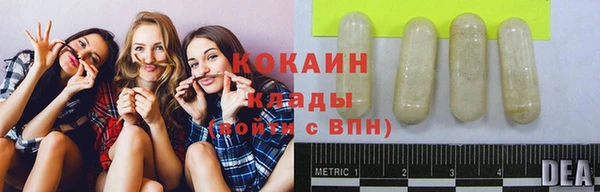 ECSTASY Коряжма