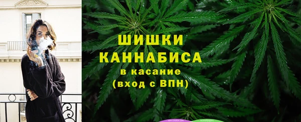 mdpv Костерёво